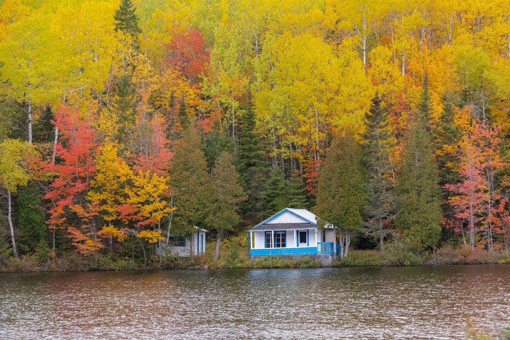 Yellowstone Rental House